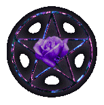 purple rose pentacle